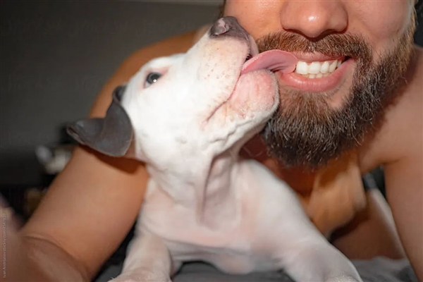 亲吻的起源竟然和爱无关!只是为了用嘴巴捉虱子