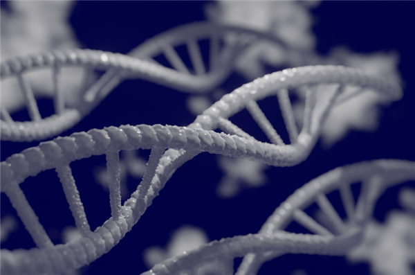 瑞典2岁罕见病女童在广州重获新生 女童父亲:我们问遍了全世界