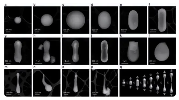 俄在中国采集月壤中发现不寻常晶体:类似金属铁线状