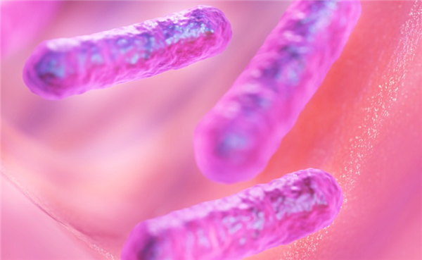 带薪拉屎!机构招粪便捐献员:最高月入六千 用于肠道疾病治疗