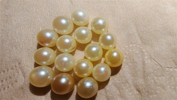 塔克拉玛干沙漠产珍珠了!200万颗贝苗试养成功