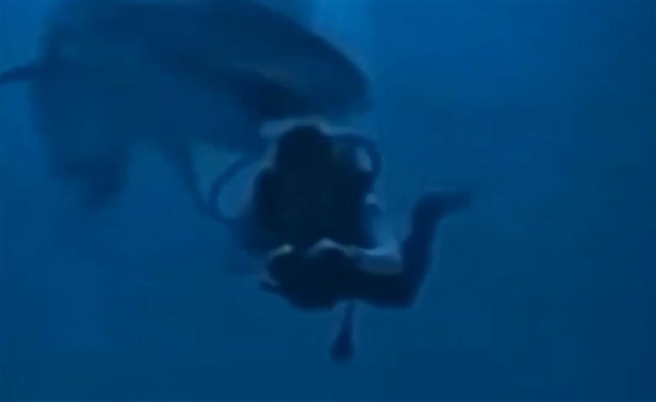 中国游客在马尔代夫潜水时遭鲨鱼咬头:缝了40多针
