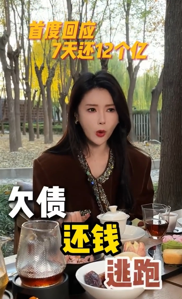 甘薇首度回应7天还12亿：贾跃亭去美国不是躲债 当年我代表他回国